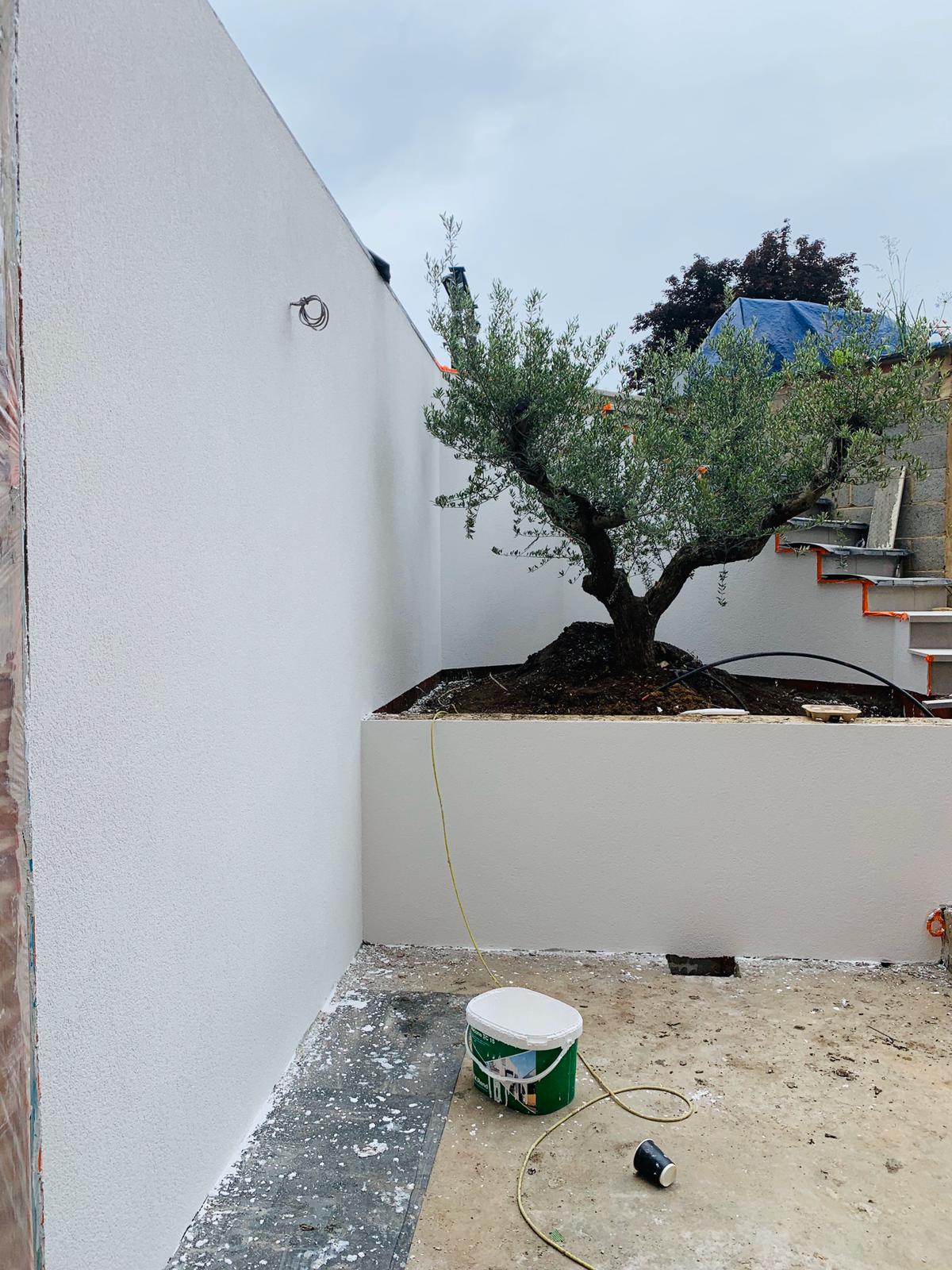 Fresh white render follows the garden’s retaining walls and steps.